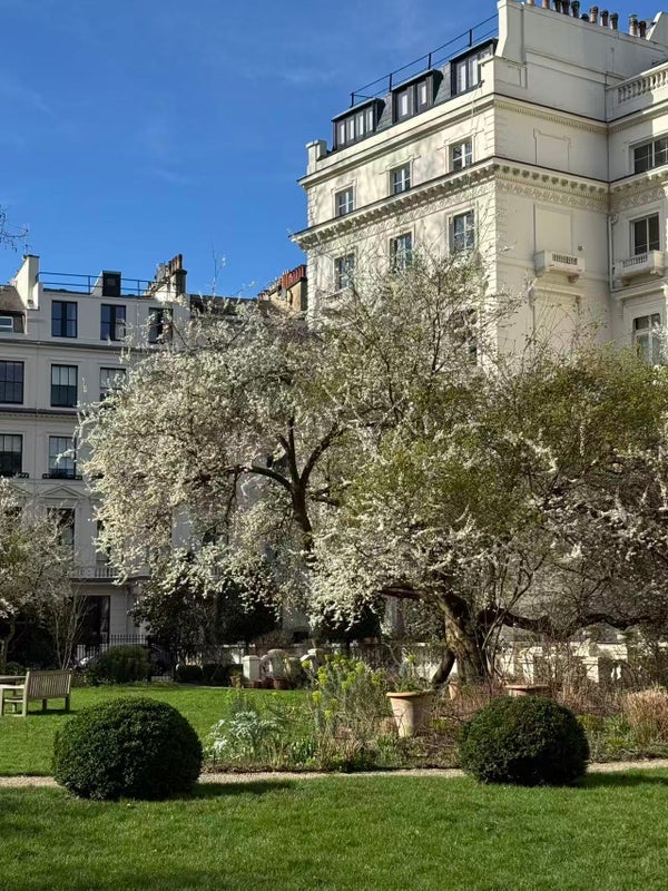 Flat Cleveland Gardens in City of Westminster