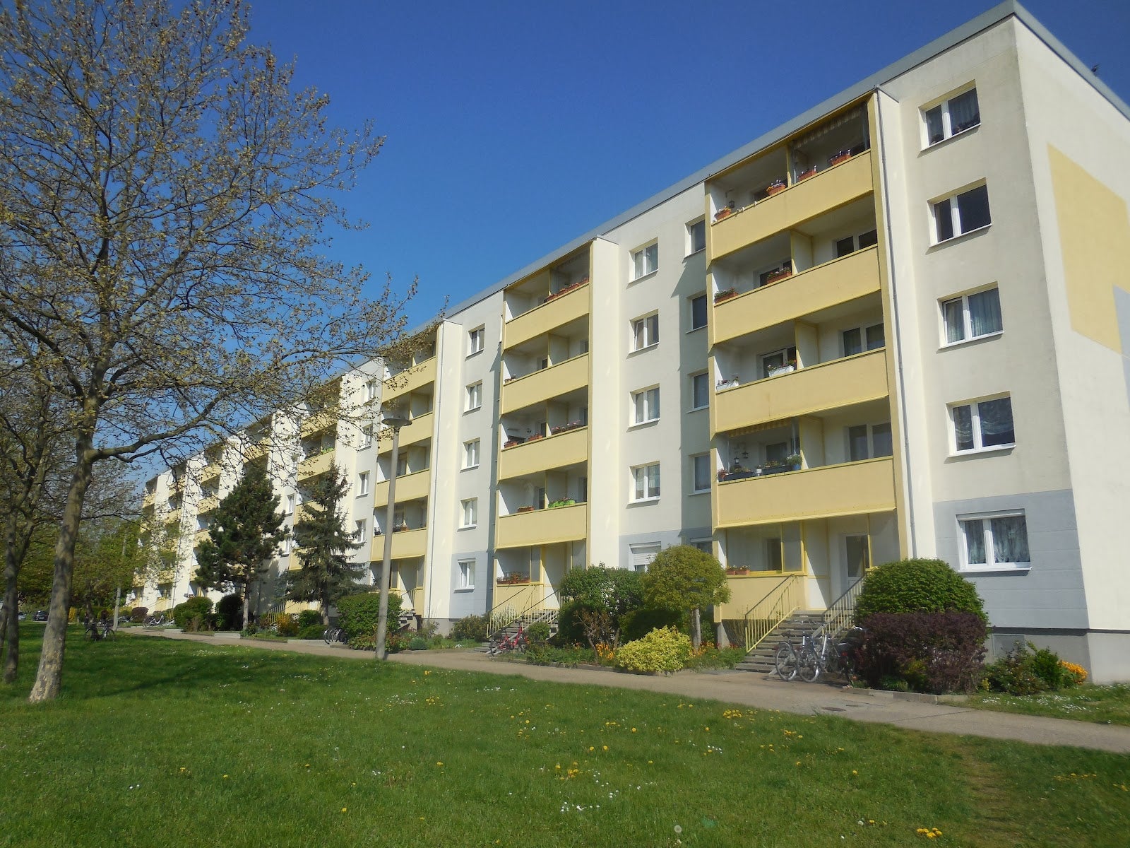 Wohnung Viethstraße in Dessau