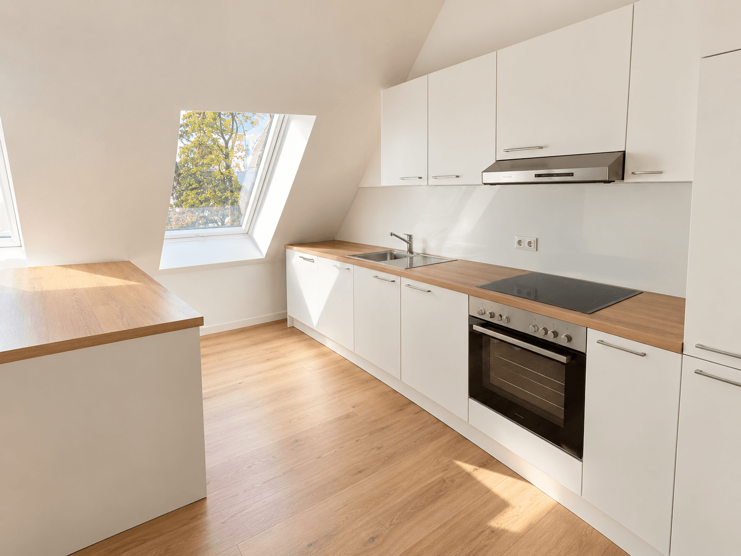 Wohnung Dietzgenstraße in Berlin