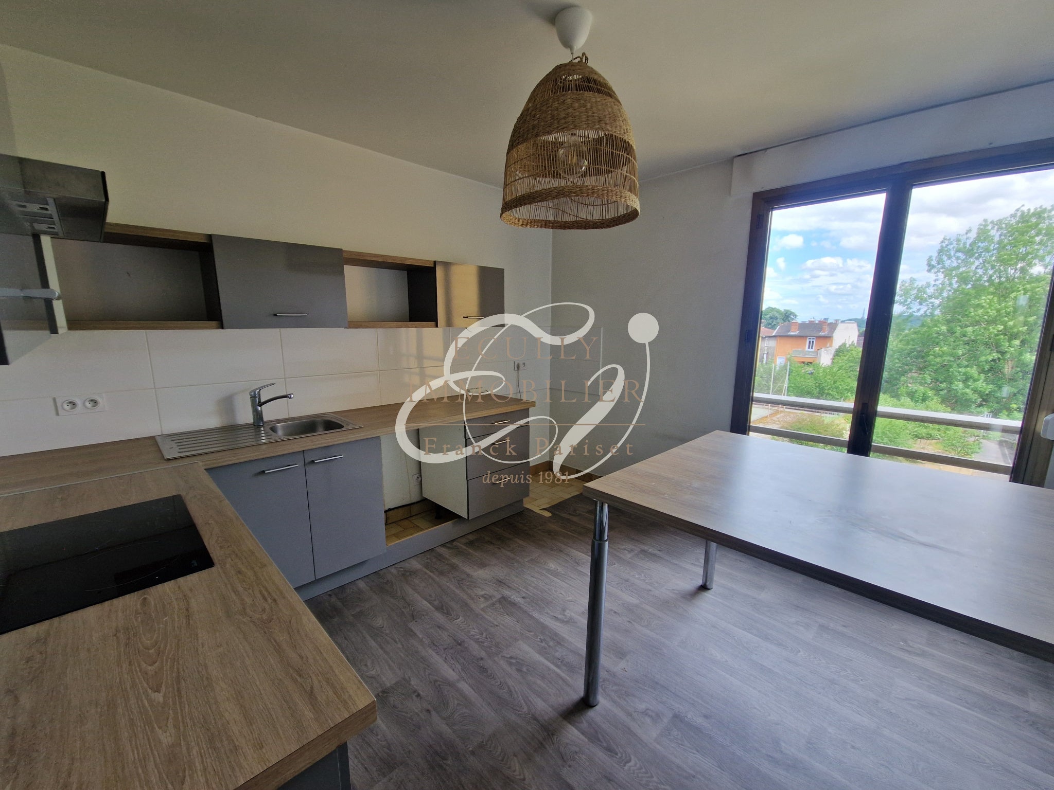 Appartement Rue Luizet à Écully