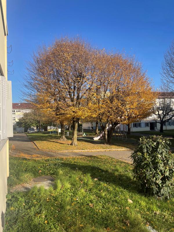 Appartement Place de la Halle à Fures