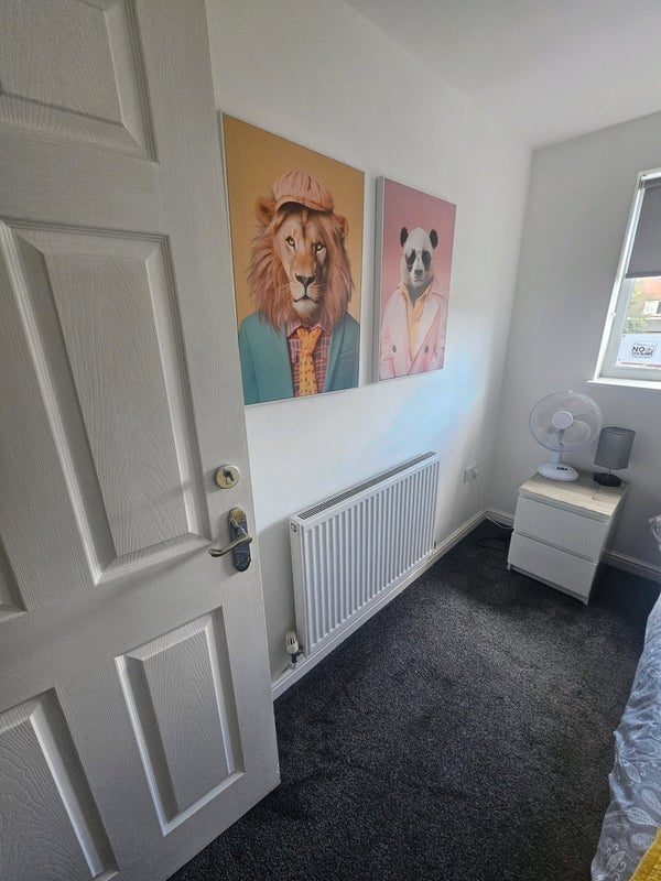 Room Elm Street Lane in Cardiff