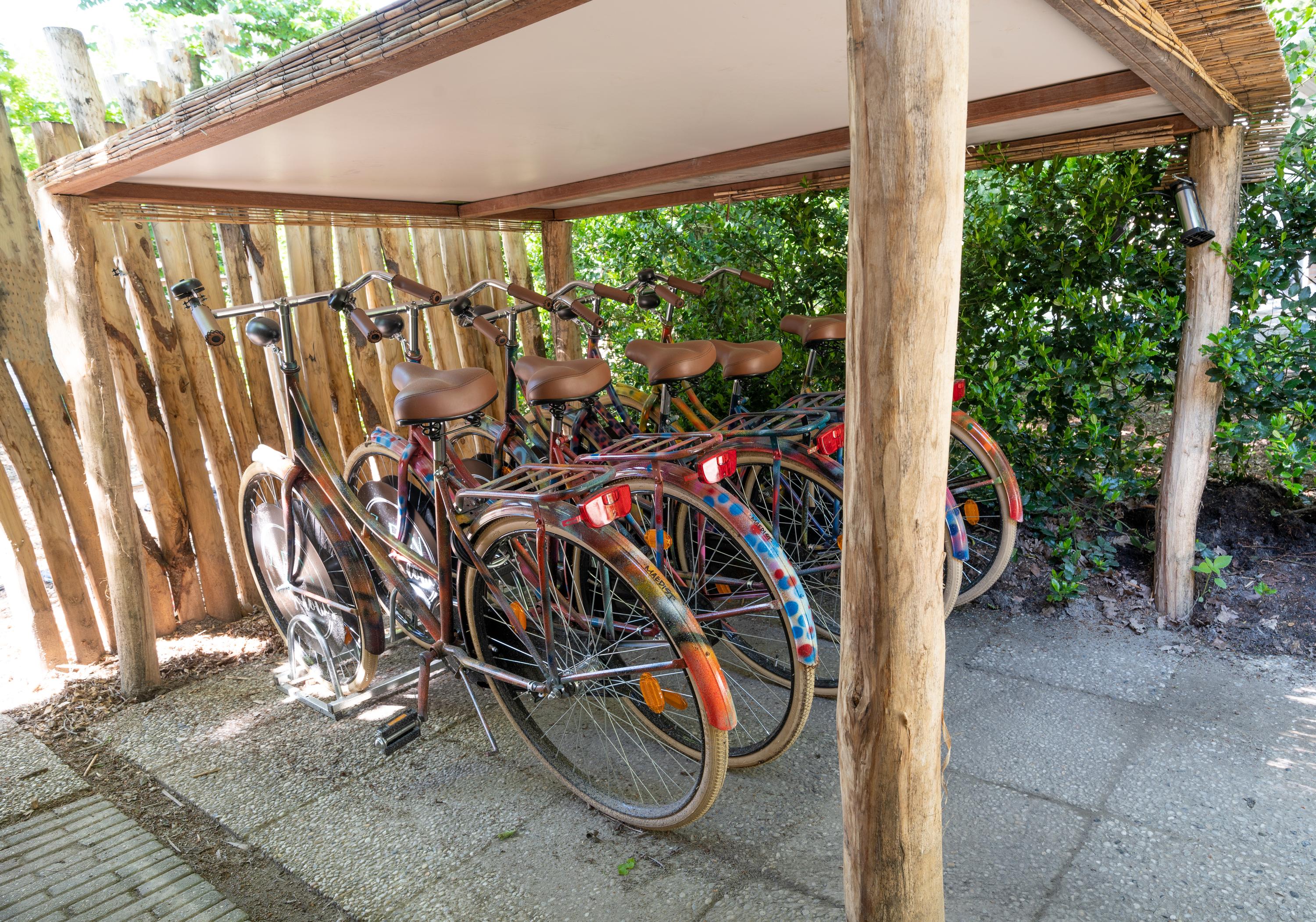 Vrijstaande woning te koop: Elfde Wijk 40A, Rheezerveen
