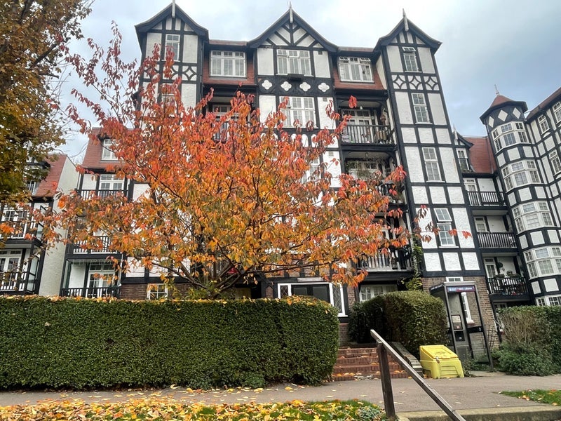 Room Oakeshott Avenue in Greater London
