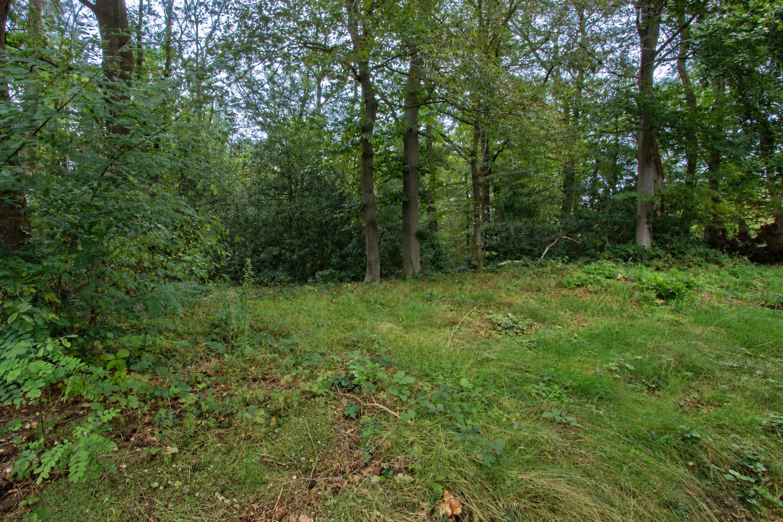 Appartement te huur: Beresteinseweg 4A, Hilversum