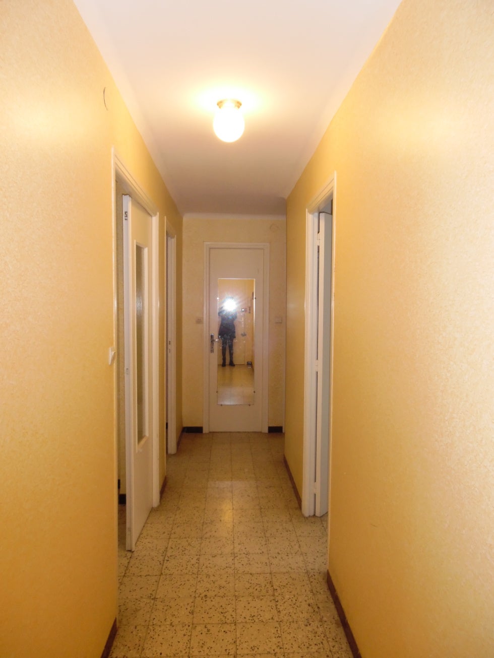 Appartement Avenue du Vallespir à Palalda