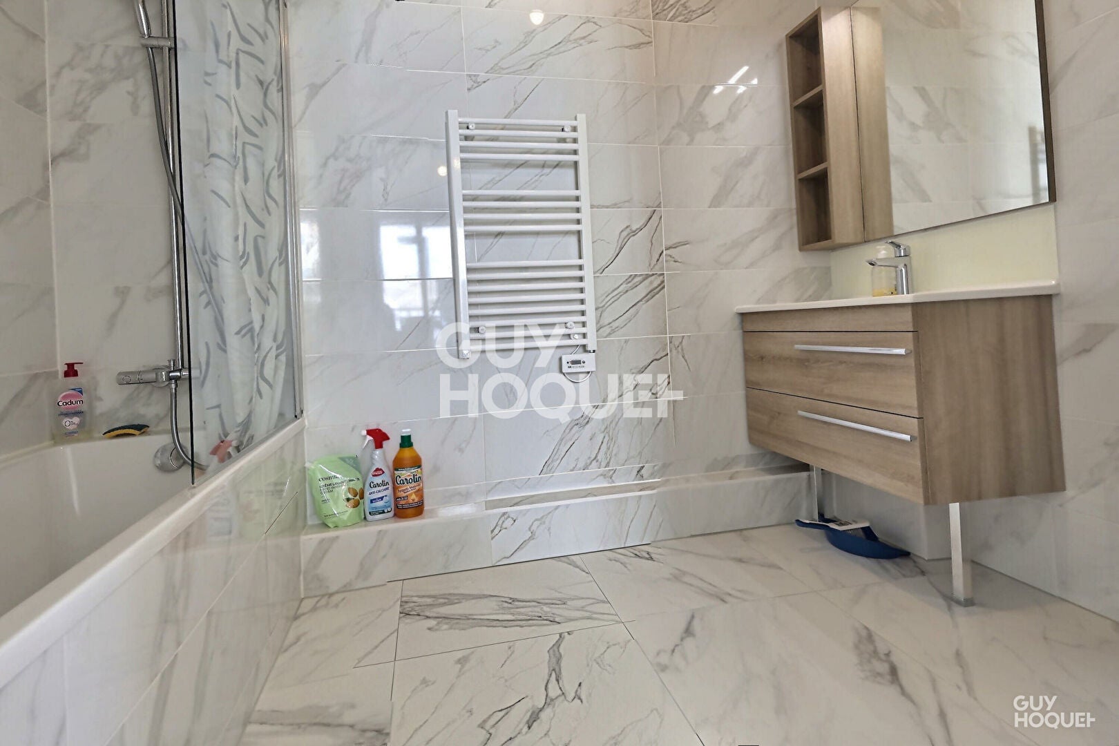 Flat Rue Bourgelat in Maisons-Alfort