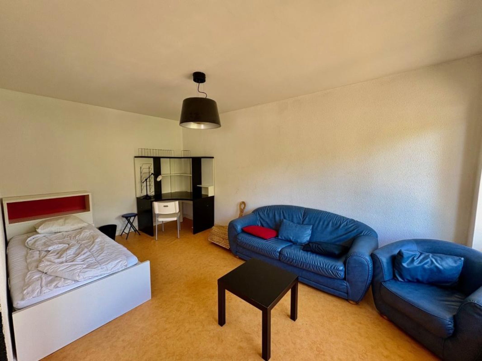 Appartement Rue Alphonse Coste à Roanne
