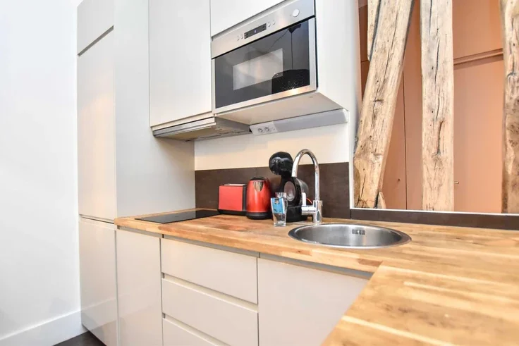 Flat Rue Guérin-Boisseau in Paris