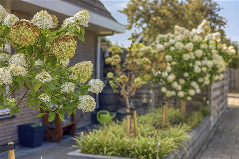 Vrijstaande woning te koop: Graanstraat 92, Purmerend