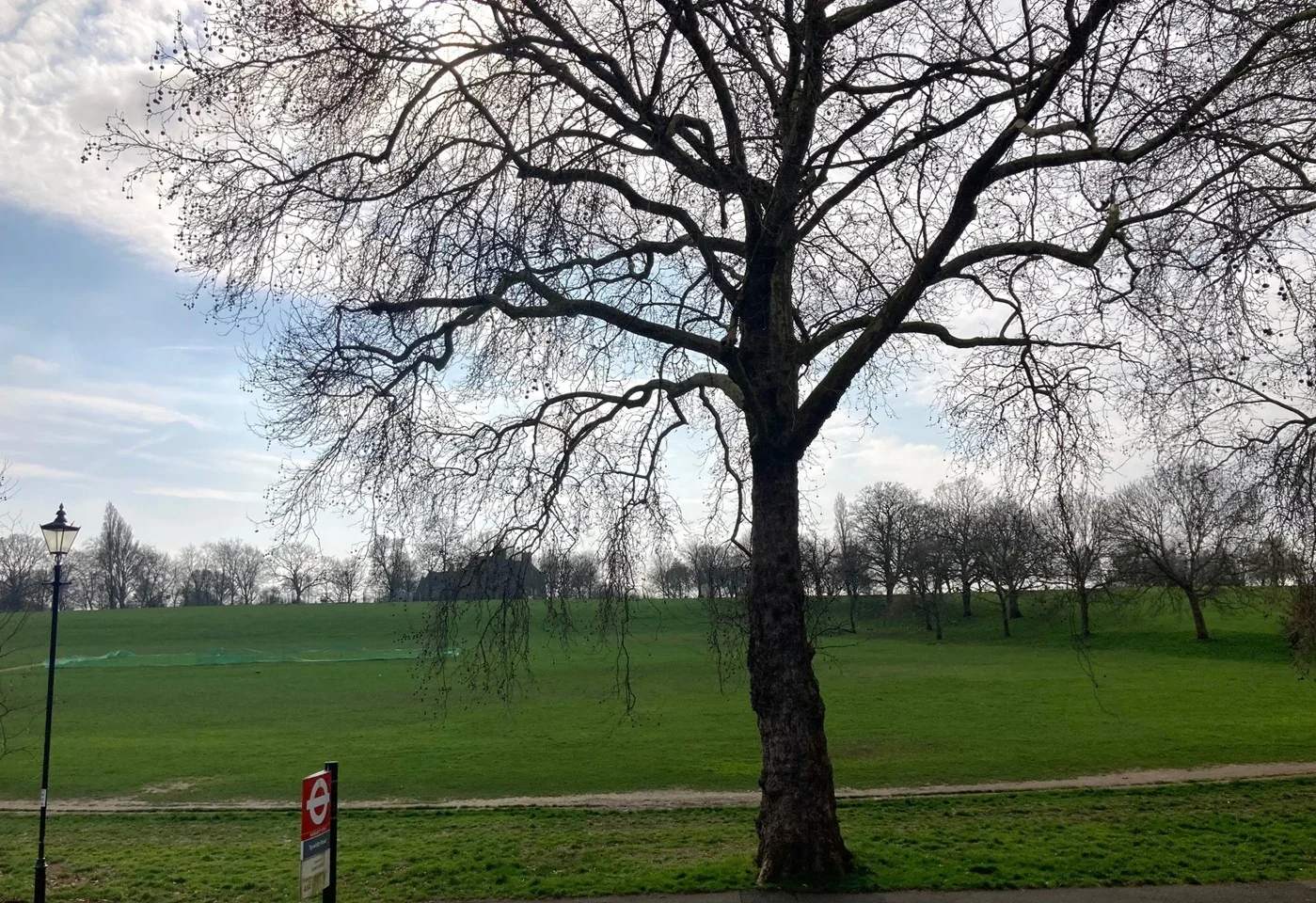 Room Hilly Fields Crescent in Greater London