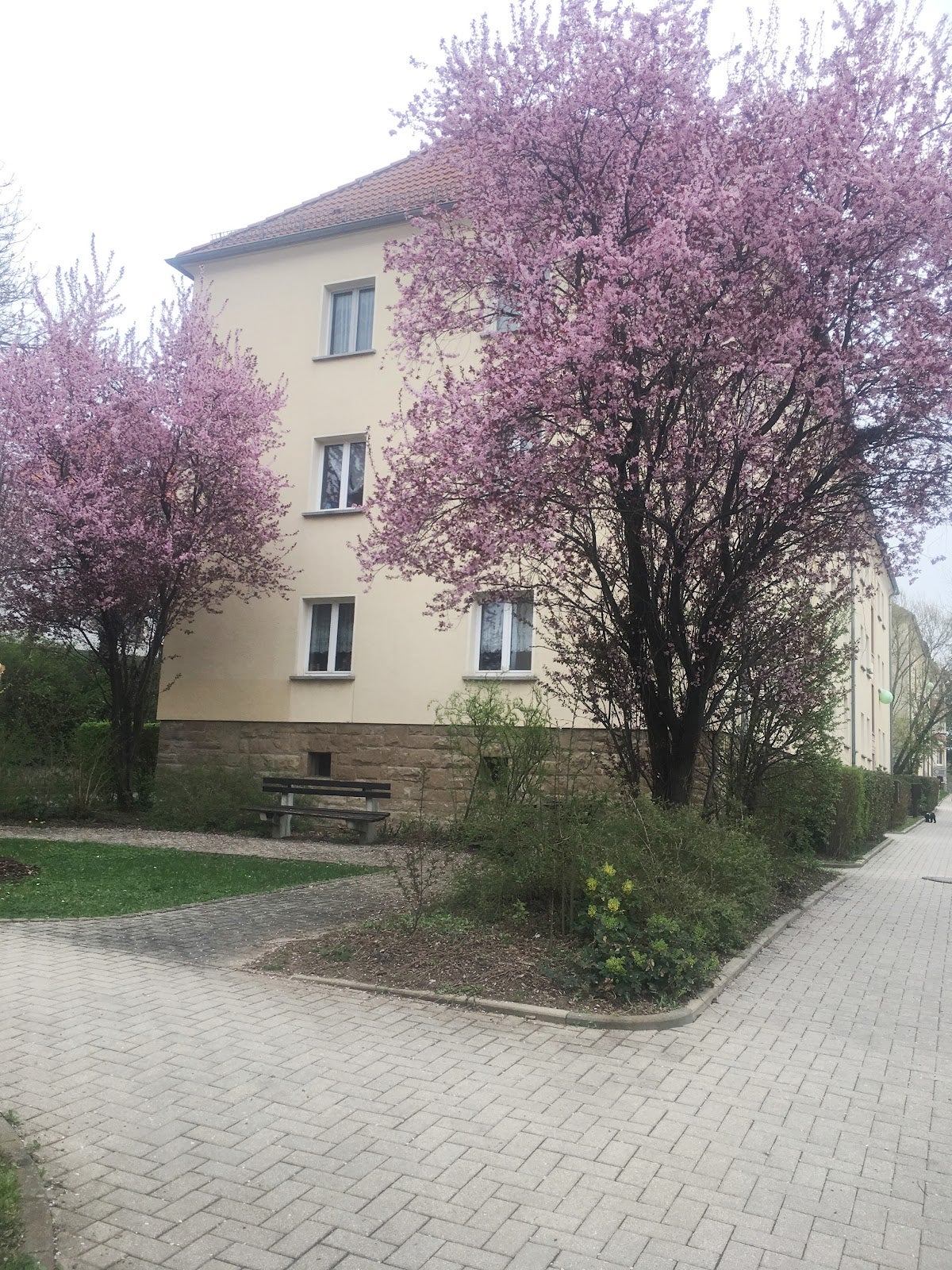 Wohnung Altenburger Straße in Gera