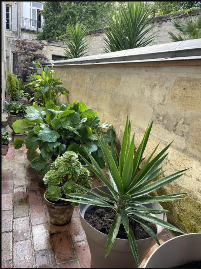 Flat Rue des Treilles in Libourne