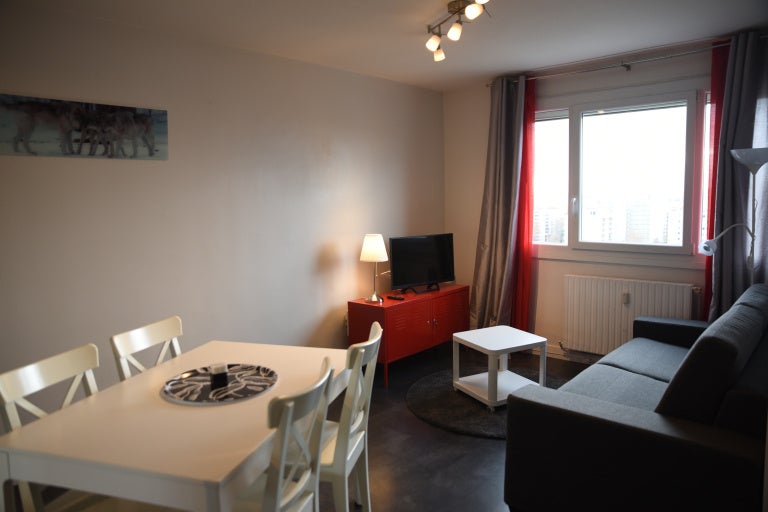 Flat Rue Francis de Pressensé in Villeurbanne