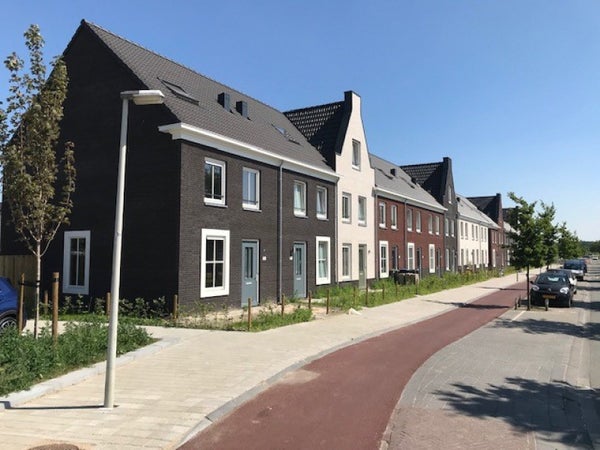 Zwanenbloem