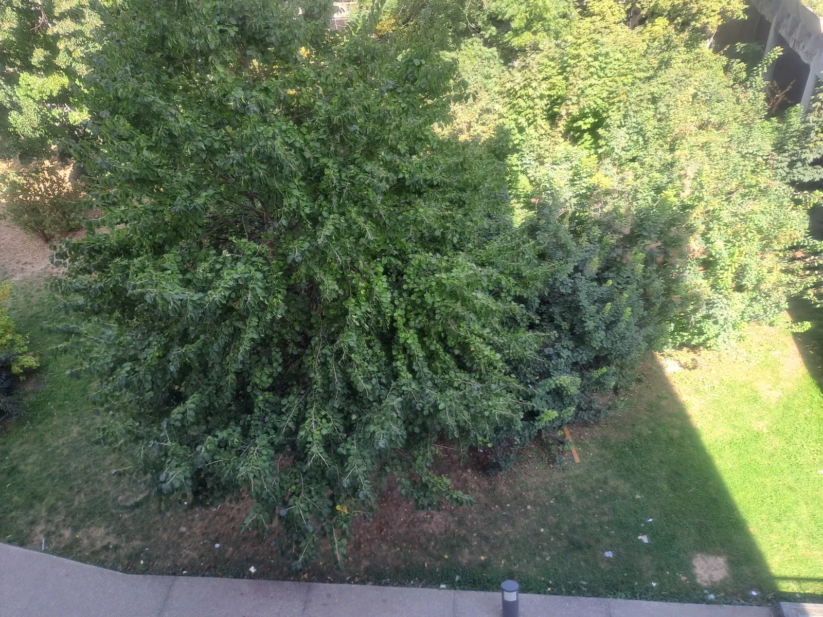 Room Avenue Paul Éluard in Bobigny