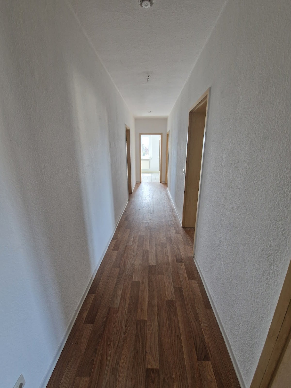 Haus Dessauer Straße in Wittenberg