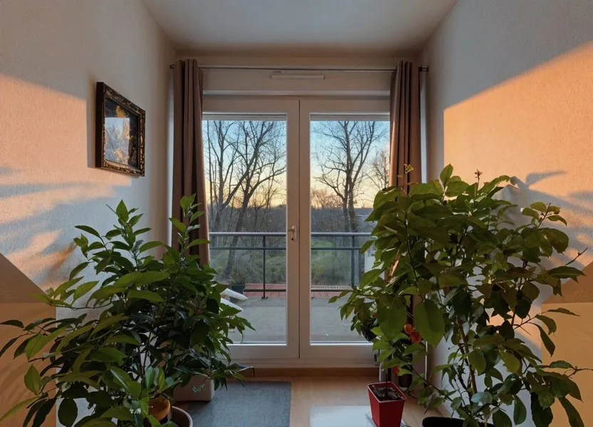 Flat Rue du Moulin in Dettwiller