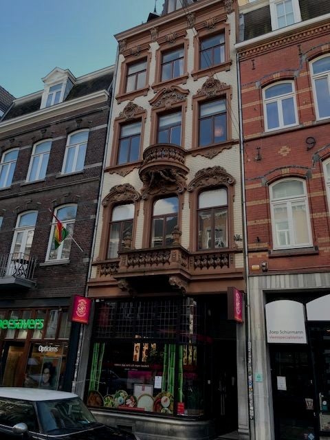 Flat Wycker Brugstraat in Maastricht