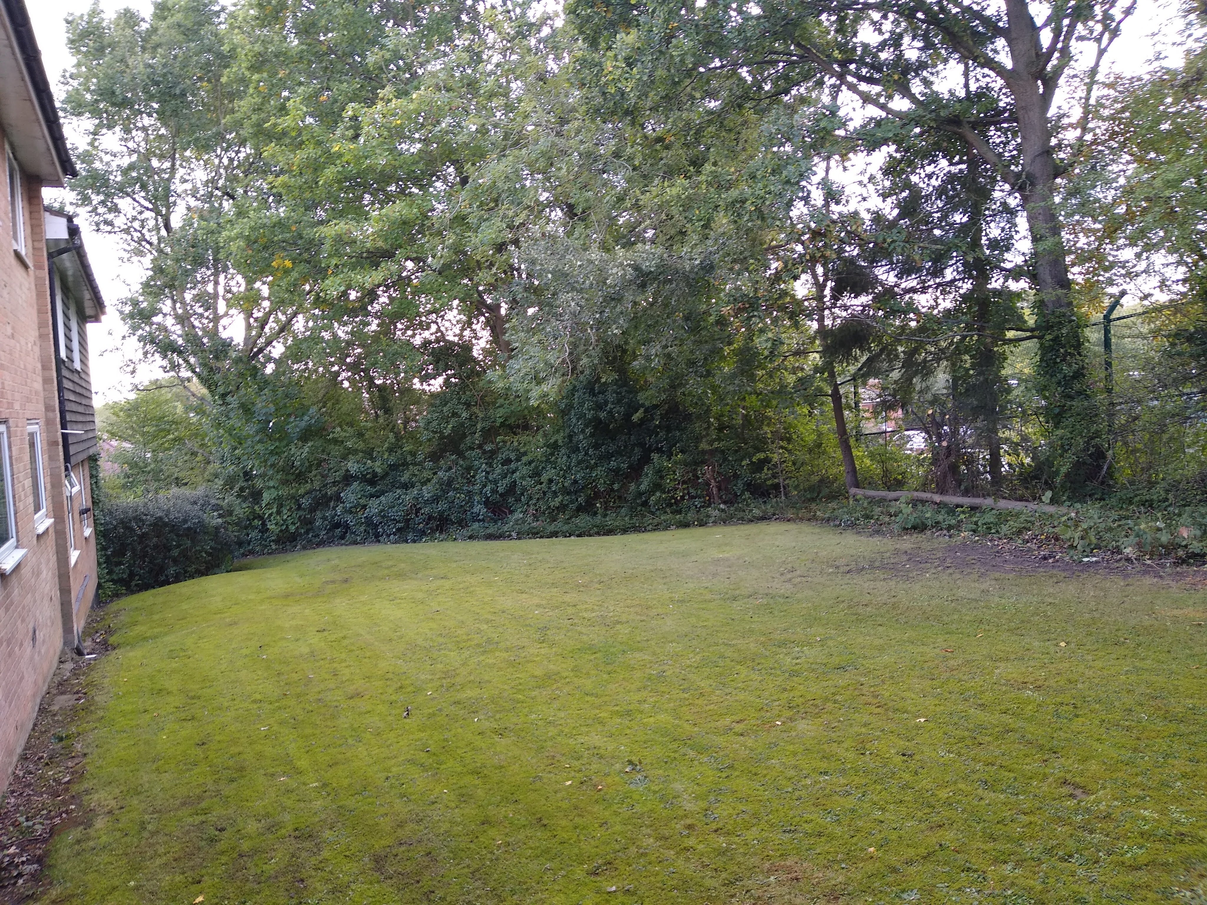 Flat Bower Hill in Epping Forest