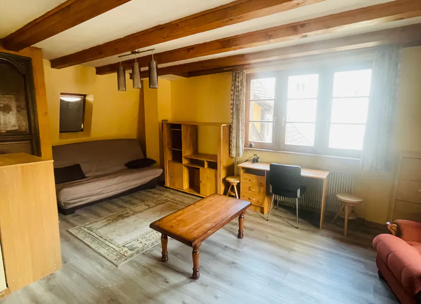 Flat Rue Adolphe Seyboth in Strasbourg