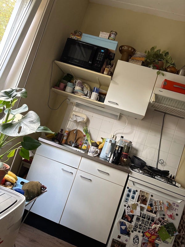 Appartement Koolemans Beynenstraat 2