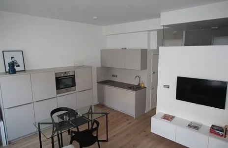 Flat Alderney Street in City of Westminster