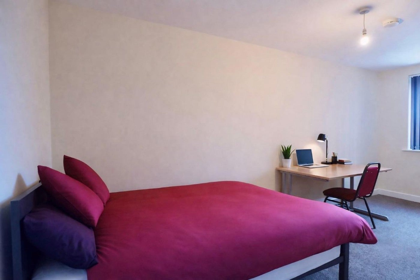 Flat Fitzwilliam Street in Sheffield