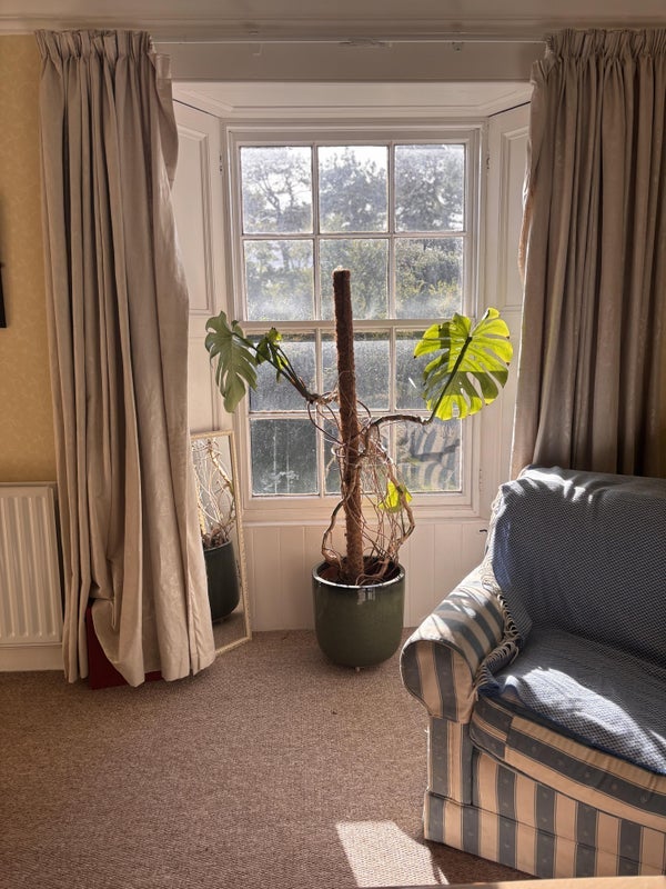 Room Links Road in North Berwick