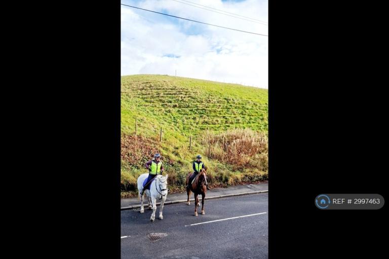 House Fearns Moss in Borough of Rossendale