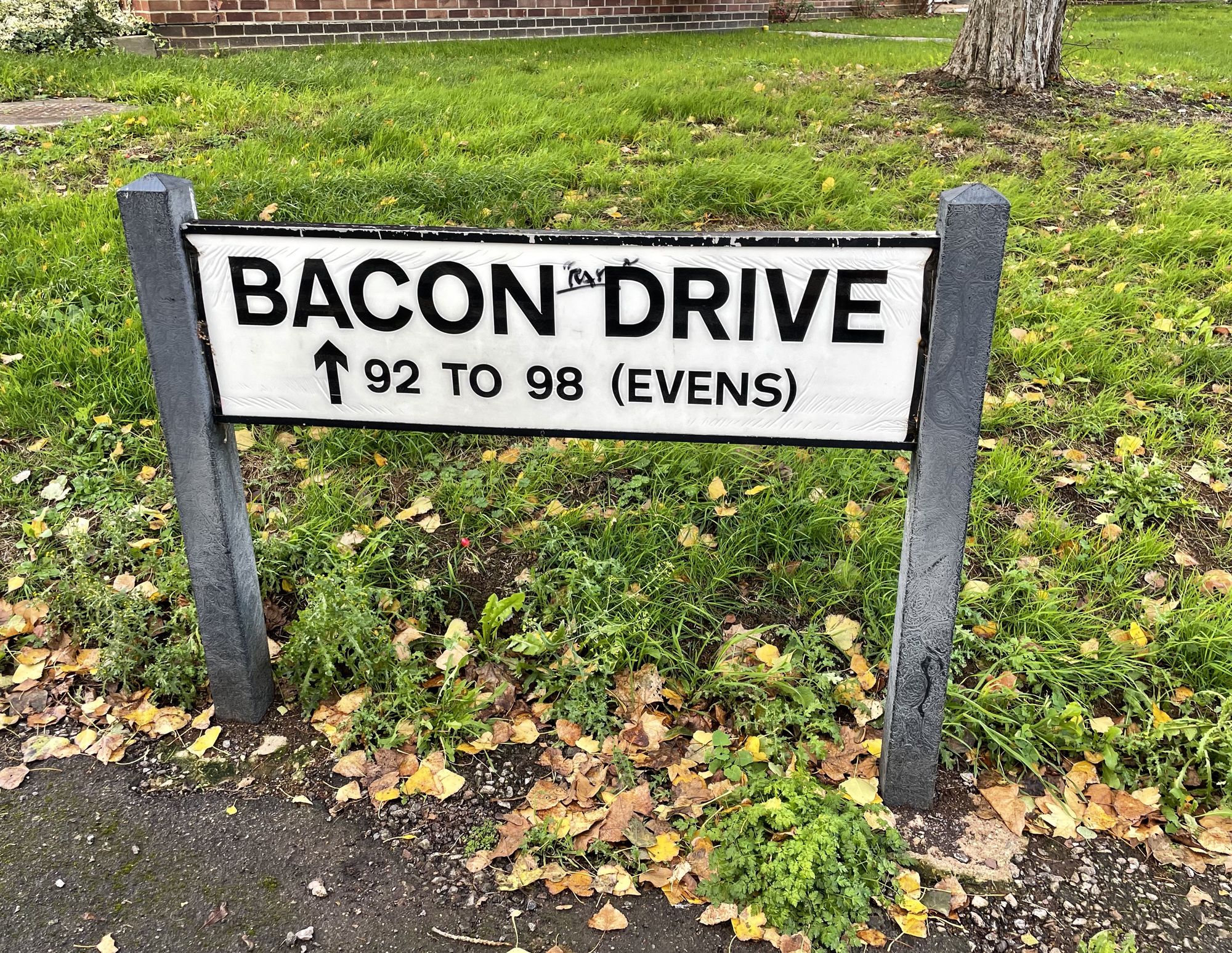 Flat Bacon Drive in Taunton