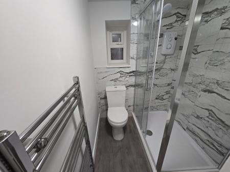 Flat Curzon Street in Maryport