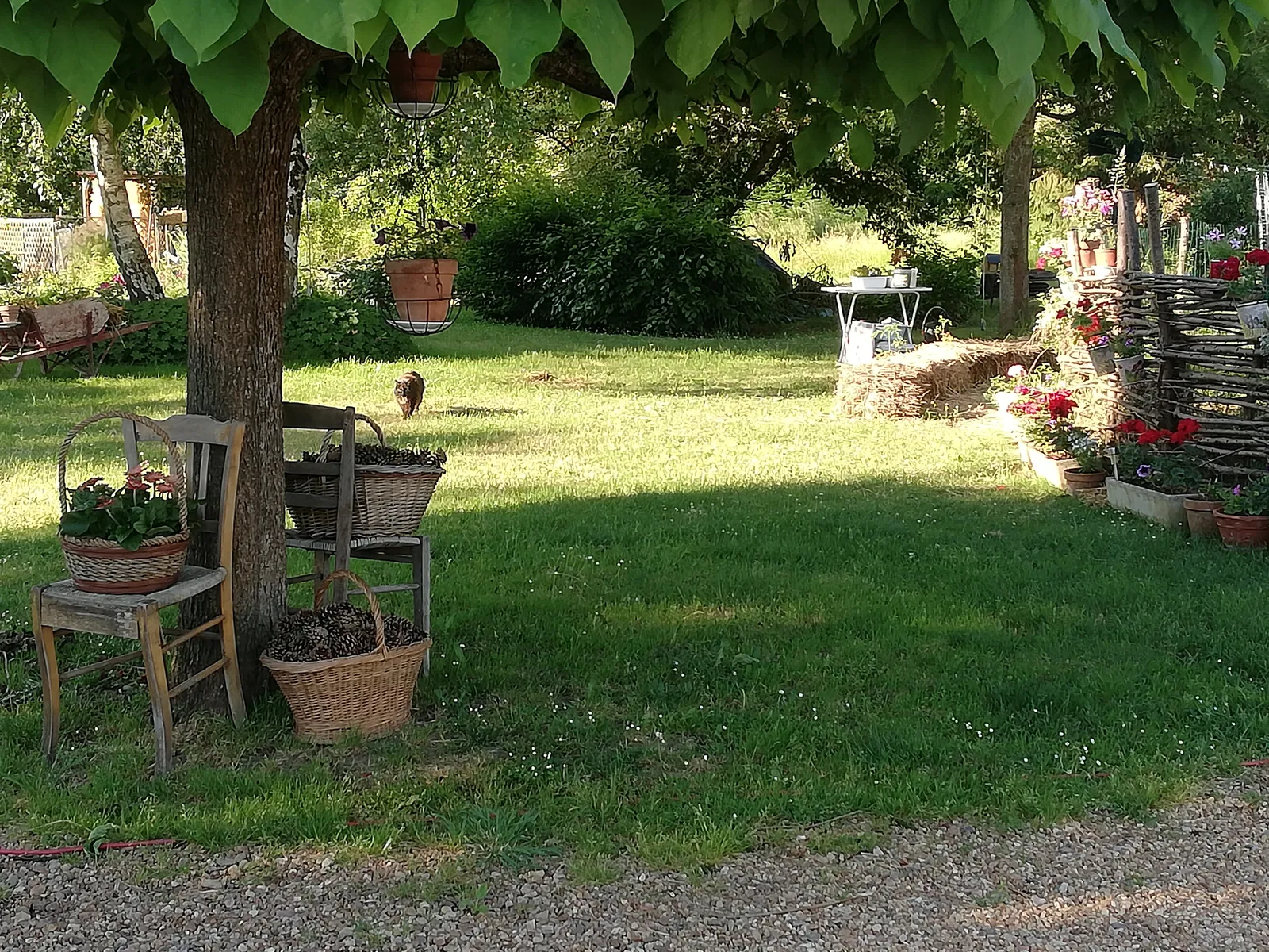 Room Route Le Bourg in Chaveignes