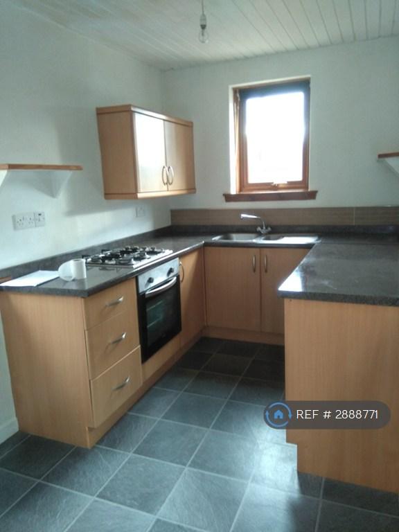 Flat Thistle Terrace in Leven