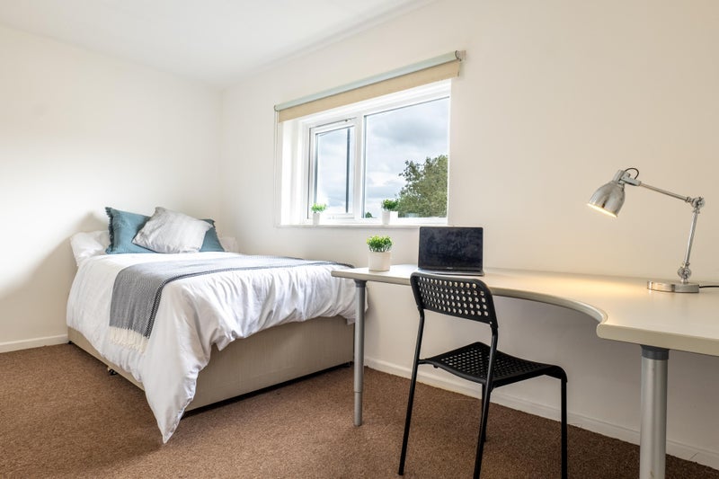 Room Filton Avenue in Bristol