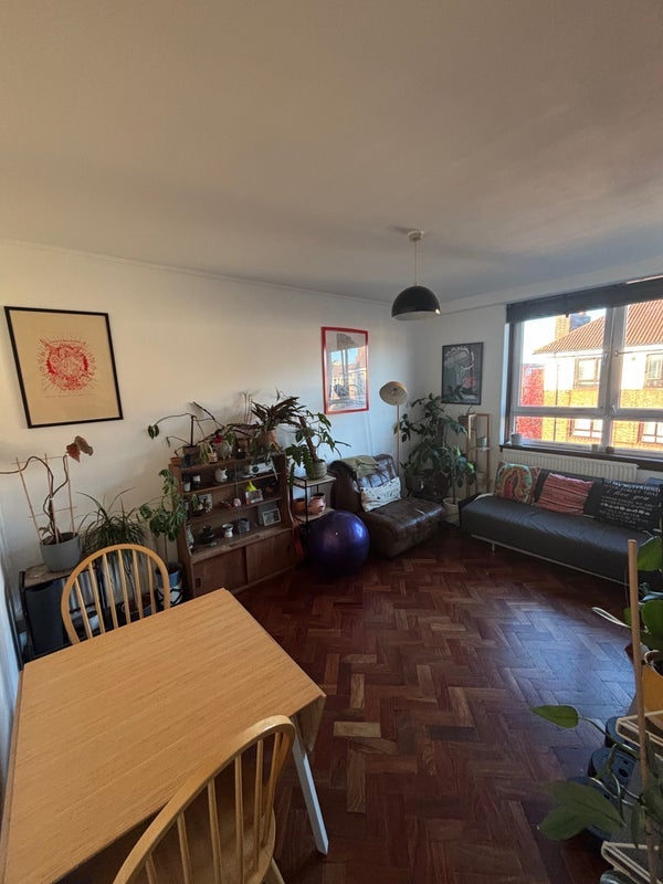 Room Shacklewell Row in Greater London