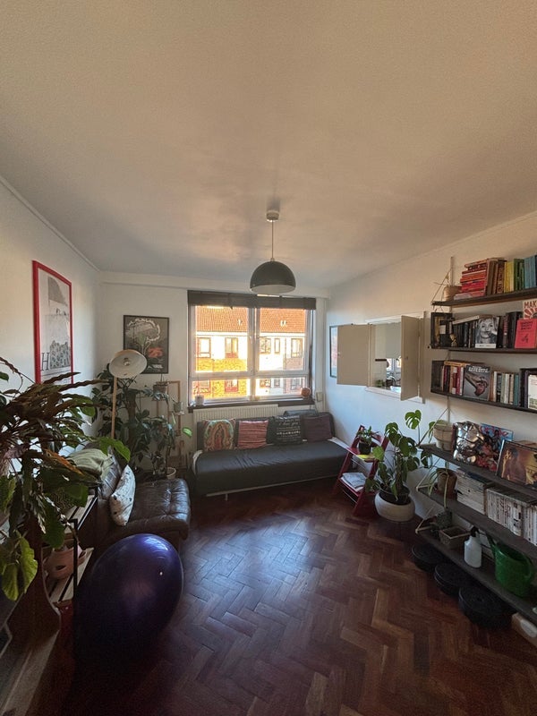Room Shacklewell Row in Greater London
