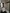 Room Avenue Roger Salengro in Villeurbanne