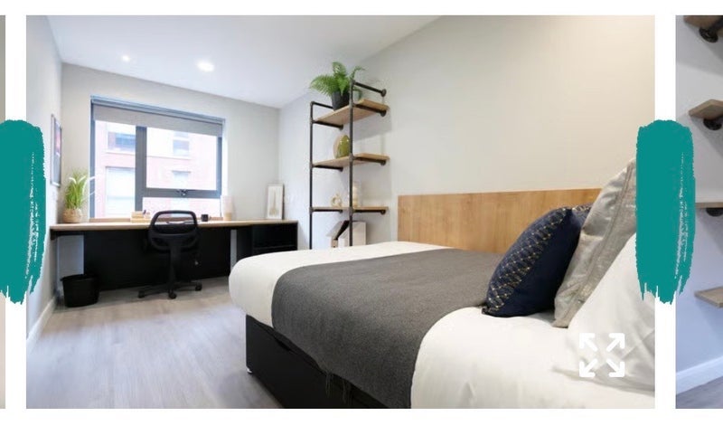 Room Green Lane in Sheffield