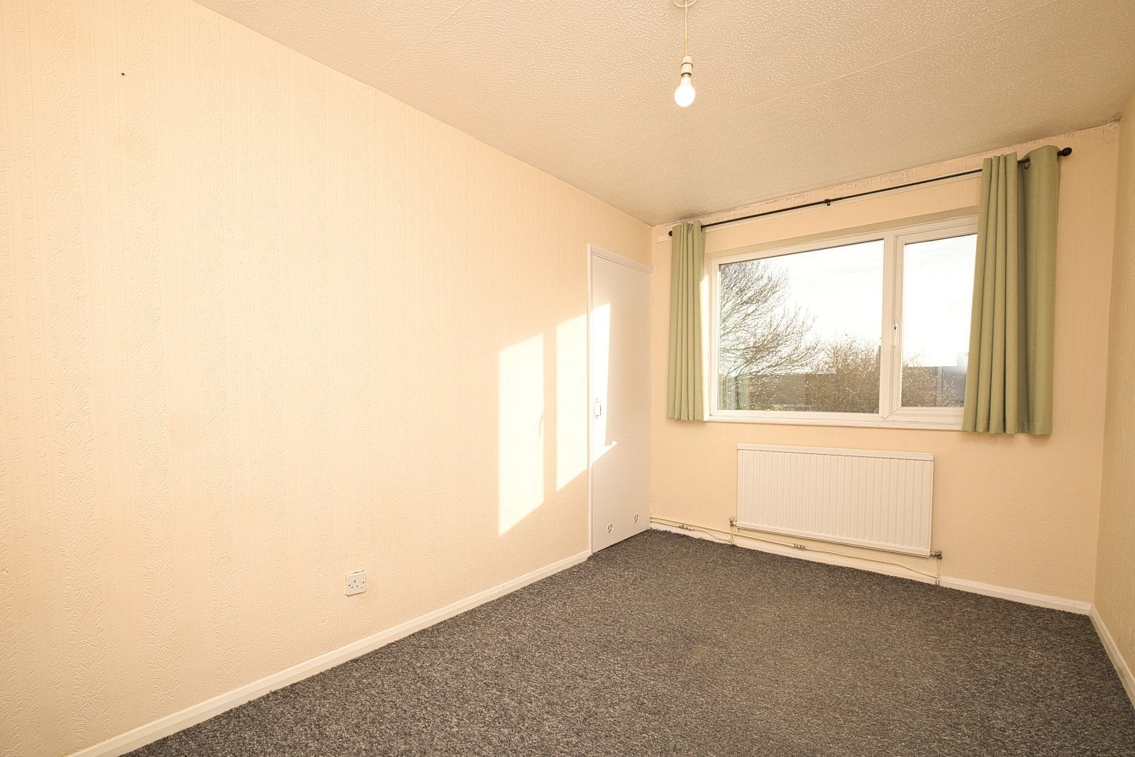 Flat Sundew Grove in Thanet