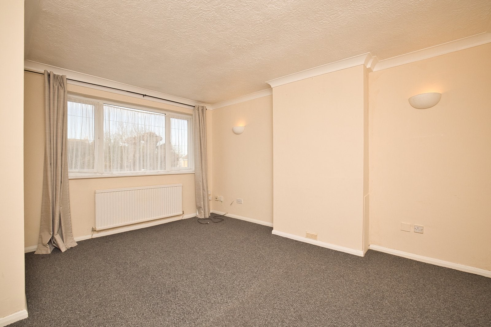 Flat Sundew Grove in Thanet