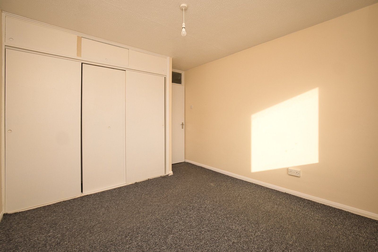 Flat Sundew Grove in Thanet