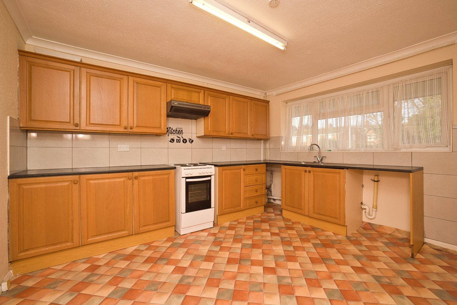 Flat Sundew Grove in Thanet