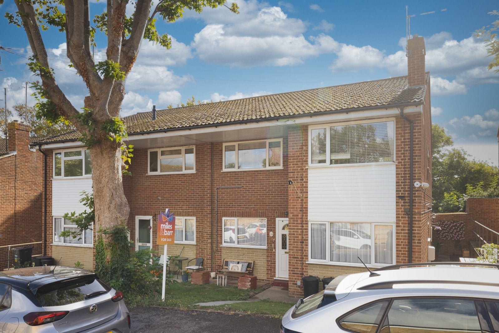 Flat Sundew Grove in Thanet