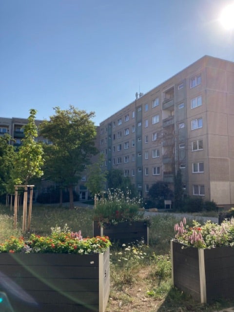 Wohnung Ernst-Haeckel-Straße in Erfurt
