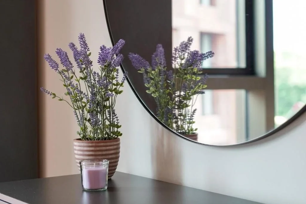 Flat Newcastle Place in City of Westminster