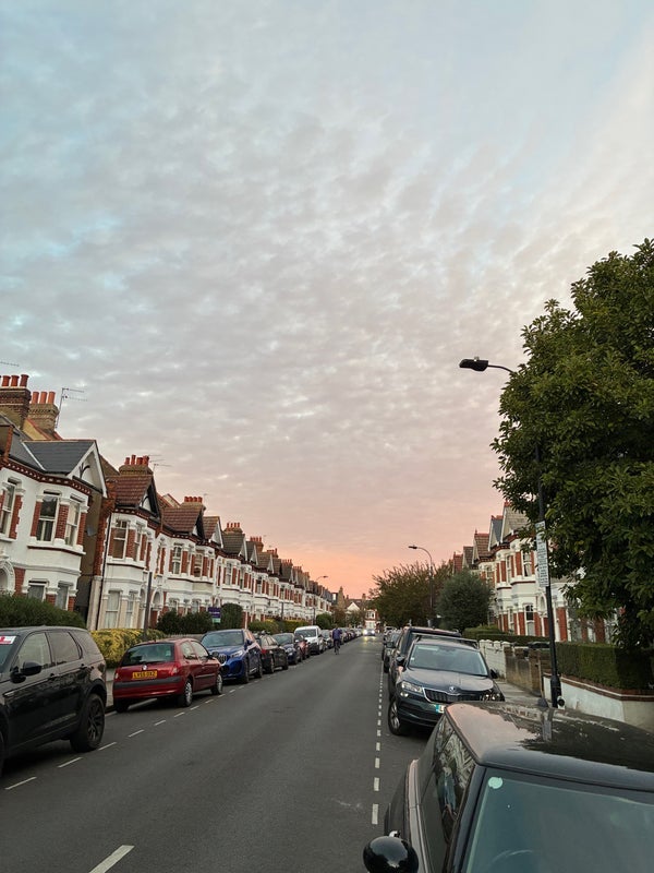Room Harbord Street in Greater London