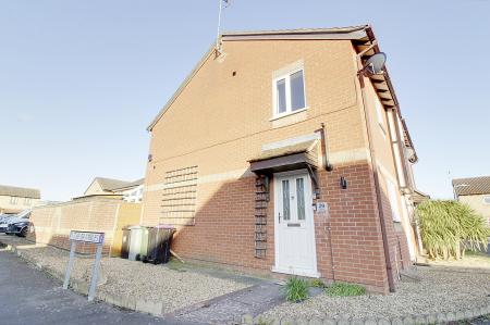 House Foxgloves in South Kesteven