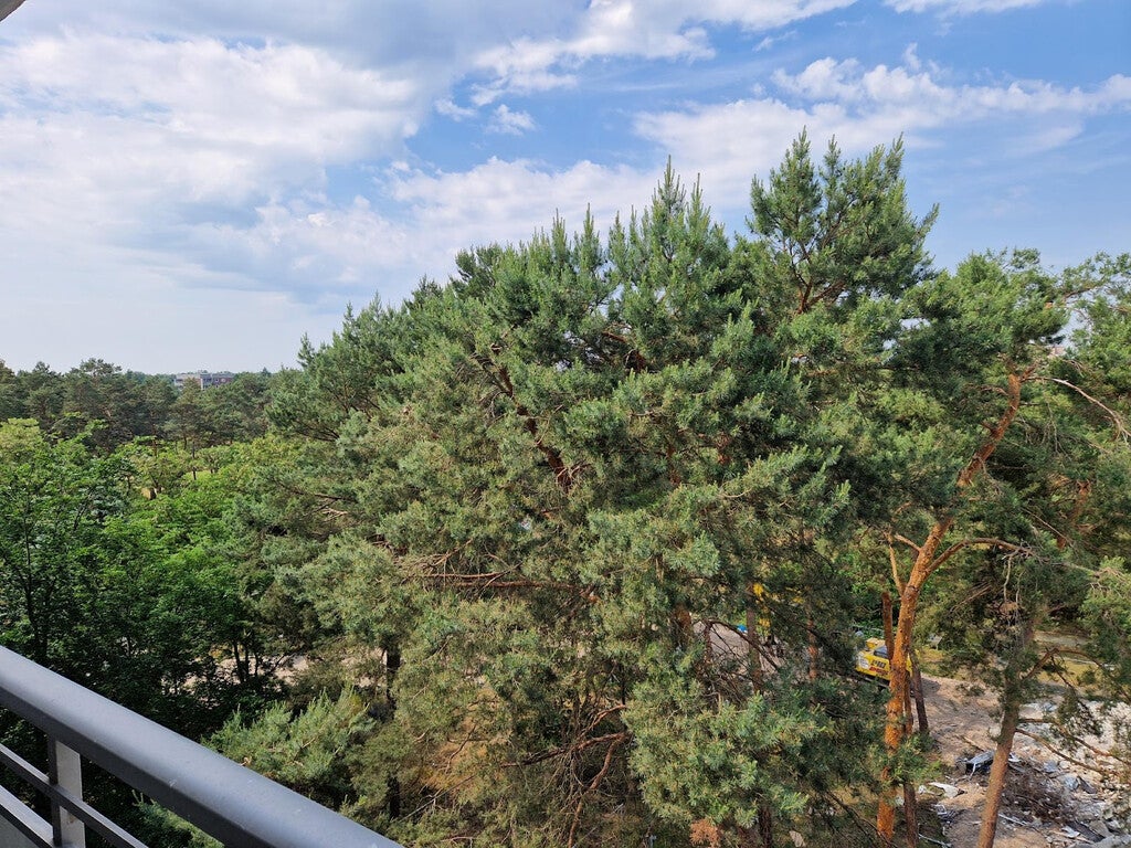 Wohnung Herderstraße in Cottbus
