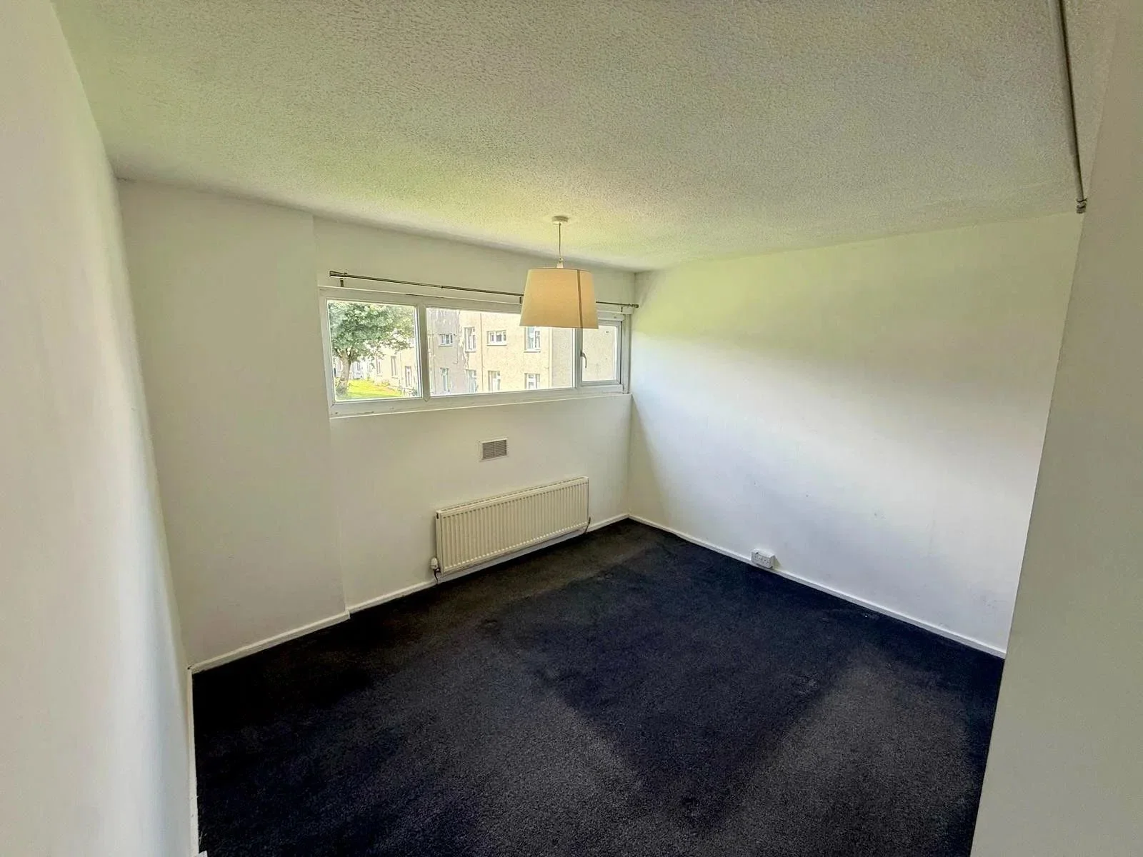 House Prospect Terrace in New Brancepeth